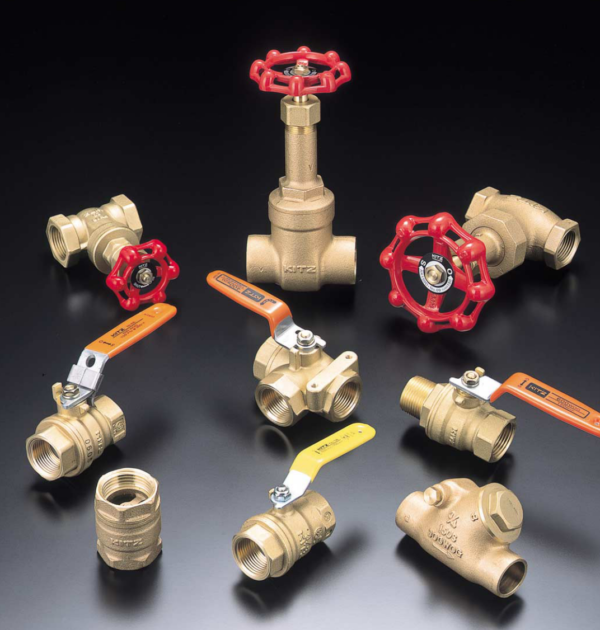 Bronze globe valve, threaded ends