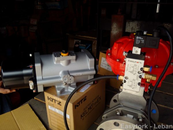 Easytork vane actuator